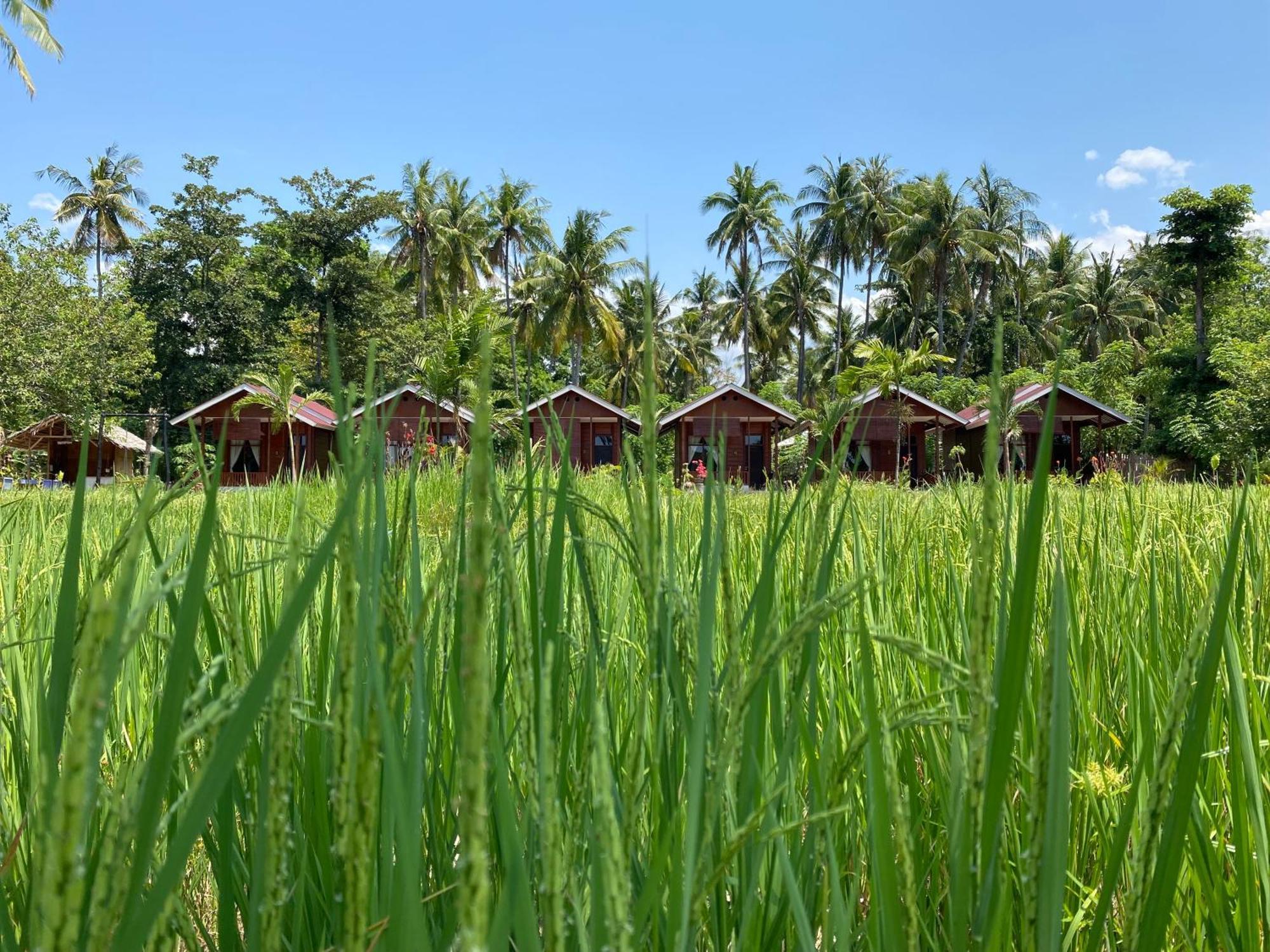 Nuna Bungalows Riung Экстерьер фото